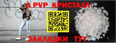 гашик Кимры