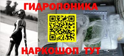 гашик Кимры