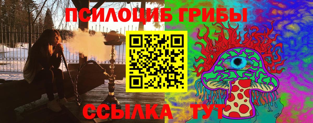 Псилоцибиновые грибы GOLDEN TEACHER Кувандык